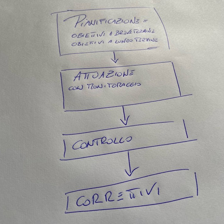 descrizione di come si effettua il controllo gastionale