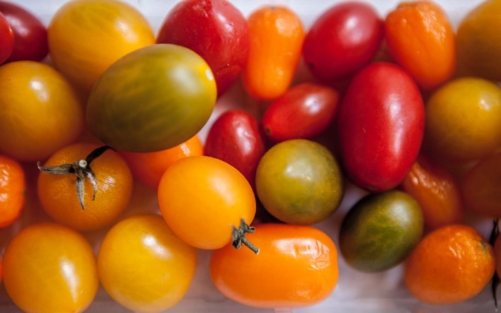 immagine di alcuni pomodori datterini